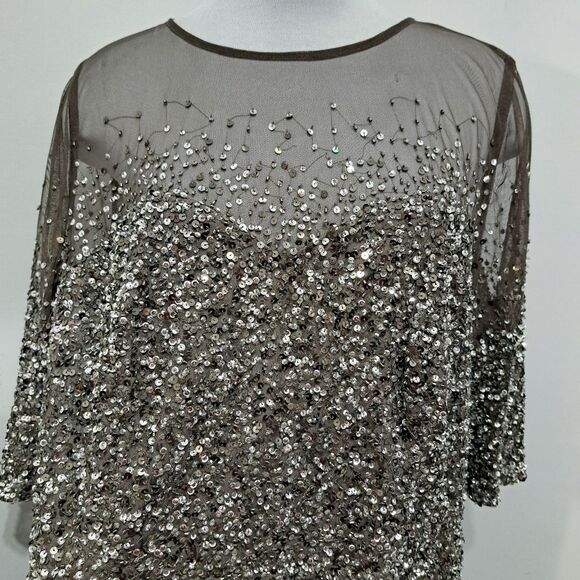 Adrianna Papell Beaded Illussion  Party Gothic Boho Maxi Gown Size 22W Lead/Gray - Picture 13 of 14